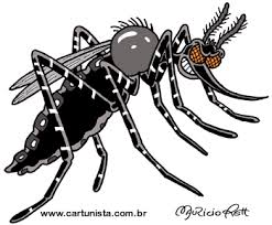 Ver imagem em tamanho grande