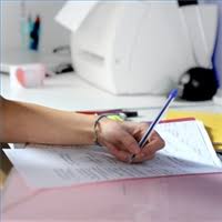 example essays