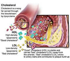 cholesterol