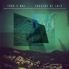 Toro y Moi- Causers of This (Carpark)