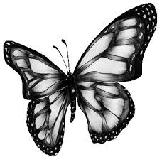 purple butterfly clip art