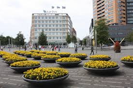 roterdam
