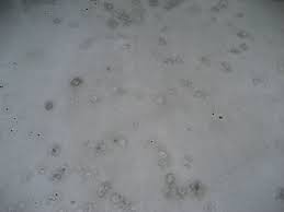 concrete finish