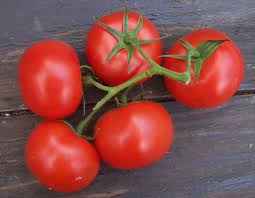 http://t2.gstatic.com/images?q=tbn:yvEqcJq_FONv3M:http://www.mondial-infos.fr/wp-content/uploads/2008/08/tomate.jpg