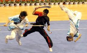 http://t2.gstatic.com/images?q=tbn:yzsanXzWmPk0iM:http://johnross07.files.wordpress.com/2008/08/wushu2.jpg