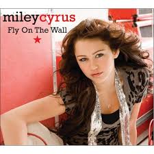 fly on the wall