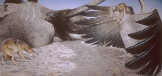giant birds