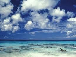 لعشاق البحر صور بحر جميلة Caribbean%20Sea,%20Bonaire,%20Netherland%20Antilles