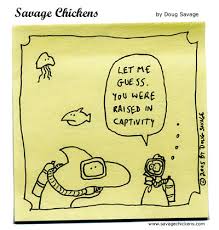 chicken of the sea