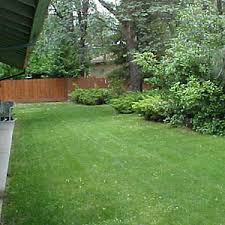 Ideally, if your yard has the