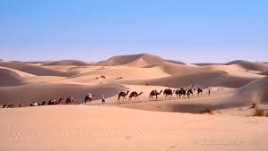 Sahara