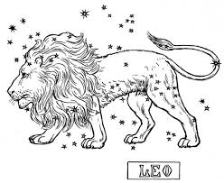 Zodiac Signs - Leo
