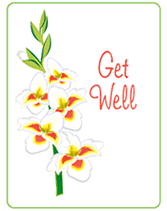 get well greetings