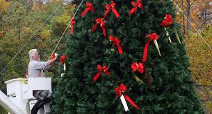 USDA OKs Christmas tree tax