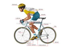 bicycle and cyclist
