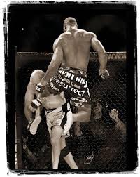 Quinton Rampage Jackson