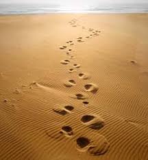 footprints�