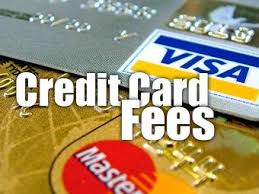 Hidden Credit \x26amp; Debit Card