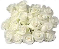 اجعل حياتك وردة بيضاء Easter-white-roses