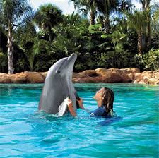 include Discovery Cove,