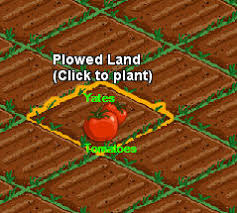 If a Farmville player is