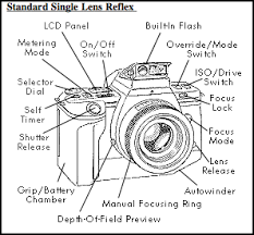 Slr Camera Drawing Slr Camera Drawing