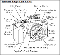 Slr Camera Drawing