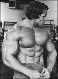 Arnold Bodybuilding Tips by Arnold