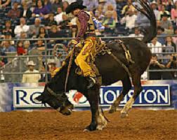 Houston Rodeo Tickets Gallery
