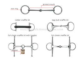 different snaffle bits.