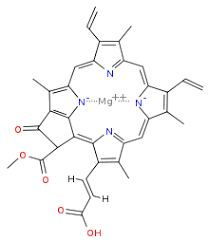 Structure of chlorophyll c2