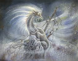 beautiful dragon pictures