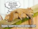 Happy Squirrel Appreciation
