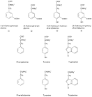 <b>aromatic amino acids</b>,