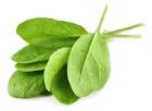 spinach pronunciation