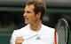 Wimbledon 2013: Oh I say! It's a Glam Slam for Murray mania