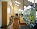 Home Aquarium Design