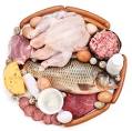 Função das <b>proteínas</b> e suas fontes na alimentação. <b>Proteínas</b>
