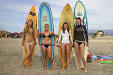 Cabo Surf Breaks and Surfing Beaches - Cabo San Lucas, Mexico