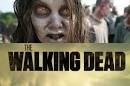 Action Flick Chick - » Melissa Suzanne McBride - o-the-walking-dead-season-2-sneak-peek-to-air-during-breaking-bad-500x329