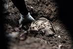 Policemen in Connection With Malaysia Mass Graves | Al Jazeera America