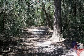 Lake Texana State Park Lake Texana State Park