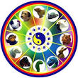 Astrology on the Web: The CHINESE ZODIAC