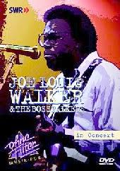 Joe Louis Walker in Concert - bab0271