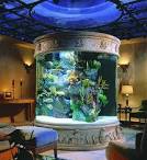 Aquariums, Different types of aquariums