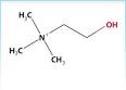 Despite <b>choline's</b> important