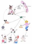 <b>Toxoplasma</b> gondii was first