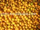 Honey mandarin orange products,China Honey mandarin orange supplier