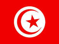 R��volution du Jasmin en Tunisie : la r��volte de tous les espoirs.