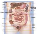 Webclínicas - <b>Dor abdominal</b>